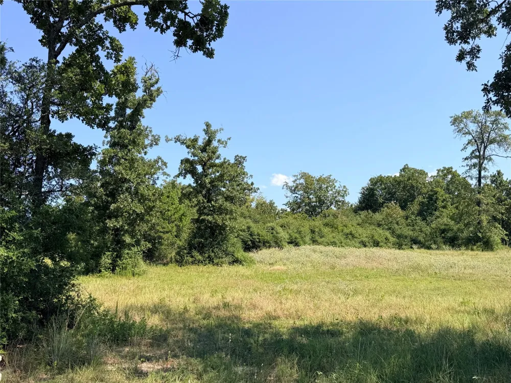 2447 Cr 261 Buffalo, TX 75831