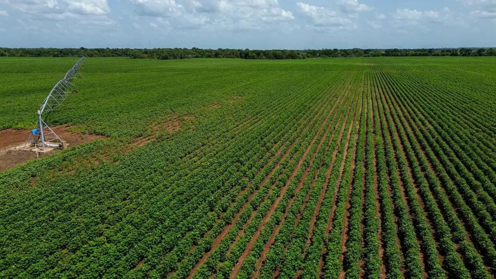 Sims Lane Lane Bryan, TX 77801