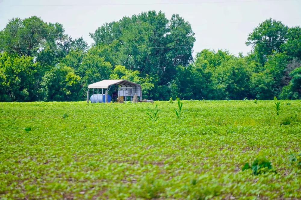 Sims Lane Lane Bryan, TX 77801
