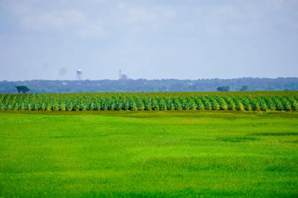 Sims Lane Lane Bryan, TX 77801