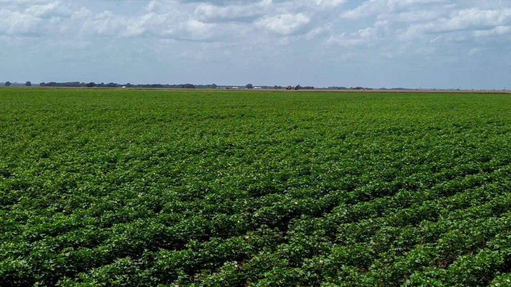 Sims Lane Lane Bryan, TX 77801