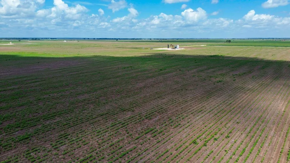 Sims Lane Lane Bryan, TX 77801