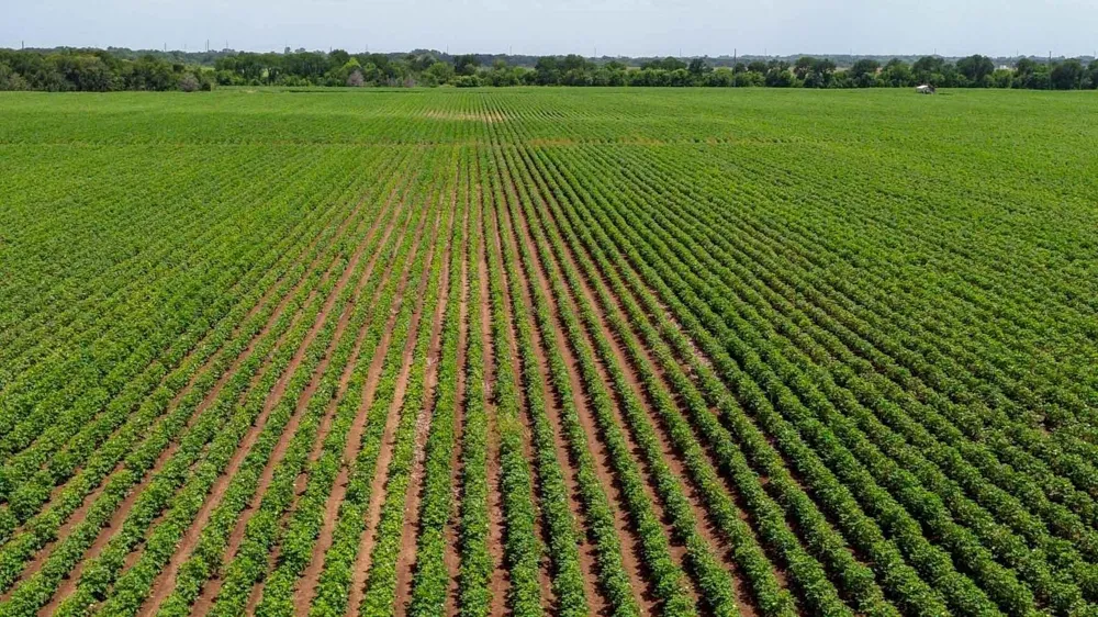 Sims Lane Lane Bryan, TX 77801
