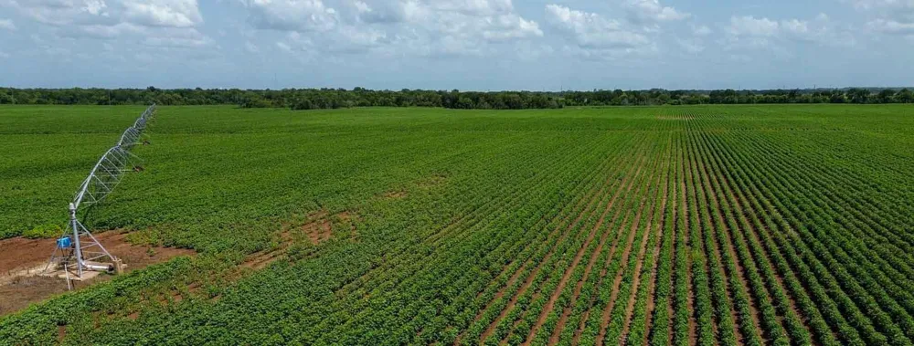 Sims Lane Lane Bryan, TX 77801