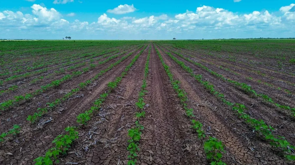 Sims Lane Lane Bryan, TX 77801