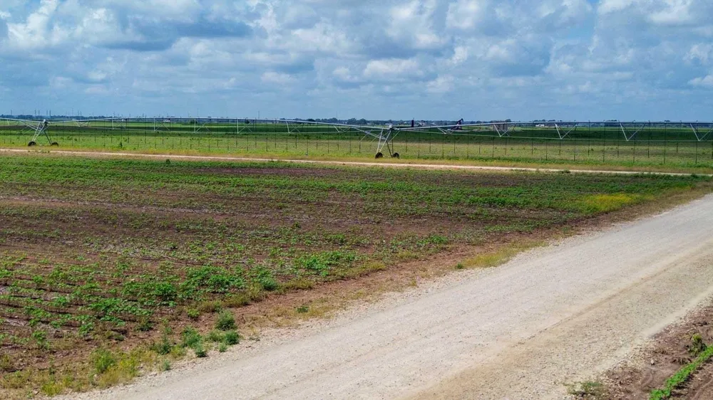 Sims Lane Lane Bryan, TX 77801