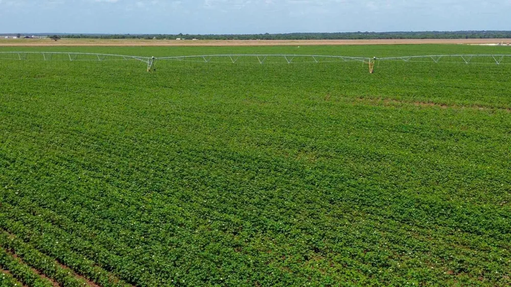 Sims Lane Lane Bryan, TX 77801