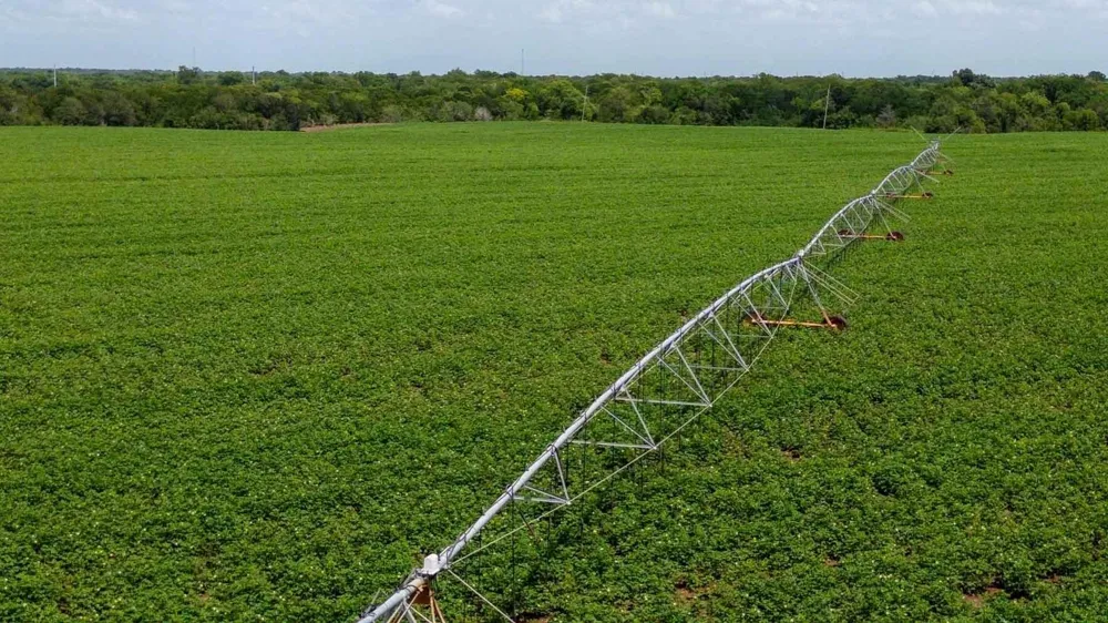 Sims Lane Lane Bryan, TX 77801