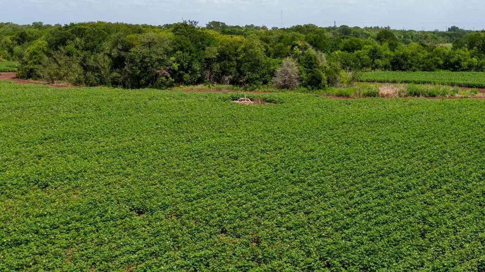 Sims Lane Lane Bryan, TX 77801