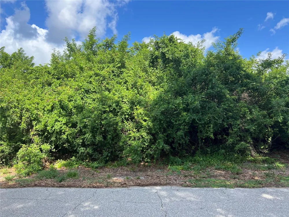 15533 TILDEN AVENUE Port Charlotte, FL 33953