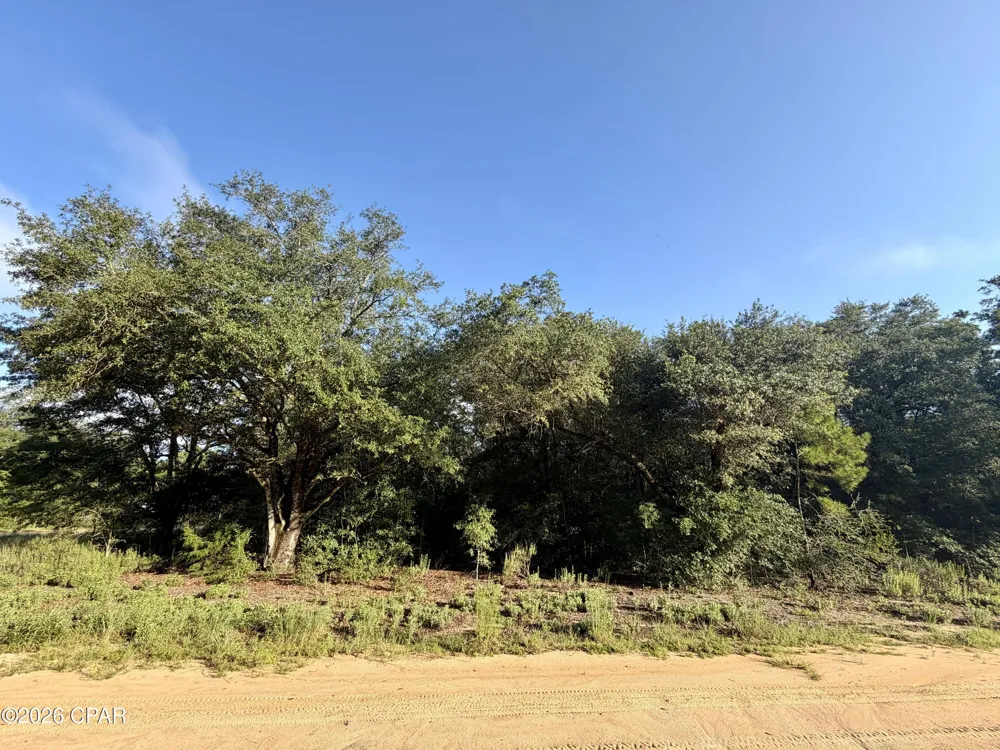 16 Osceola Drive Marianna, FL 32448