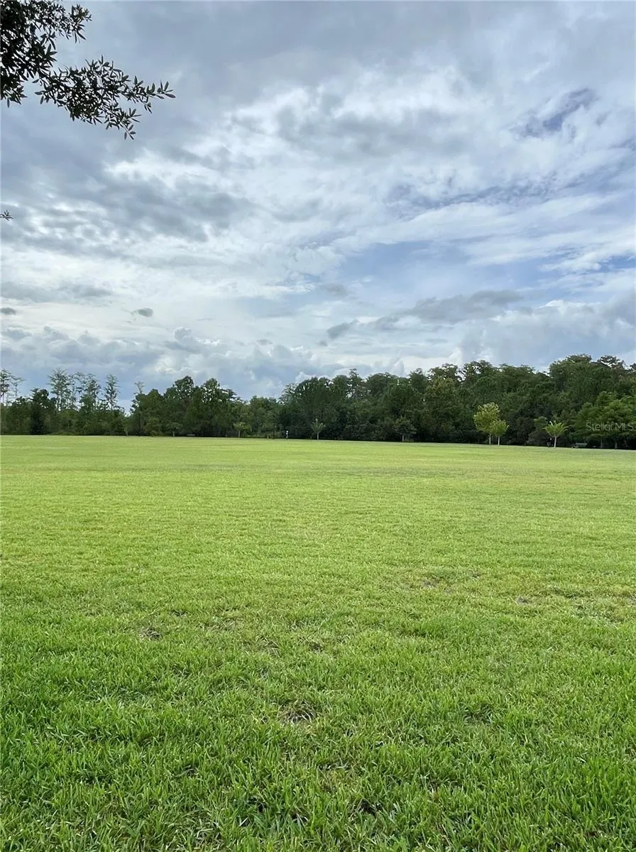 12810 BOGGY VIEW DR Orlando, FL 32824