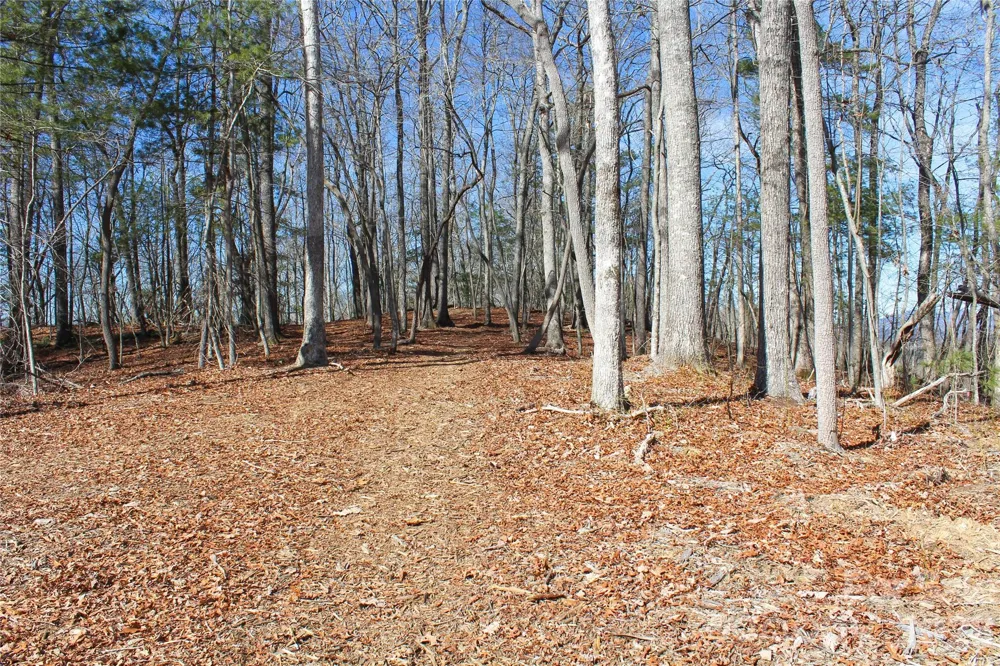 000 Northview Drive #12 Hendersonville, NC 28791