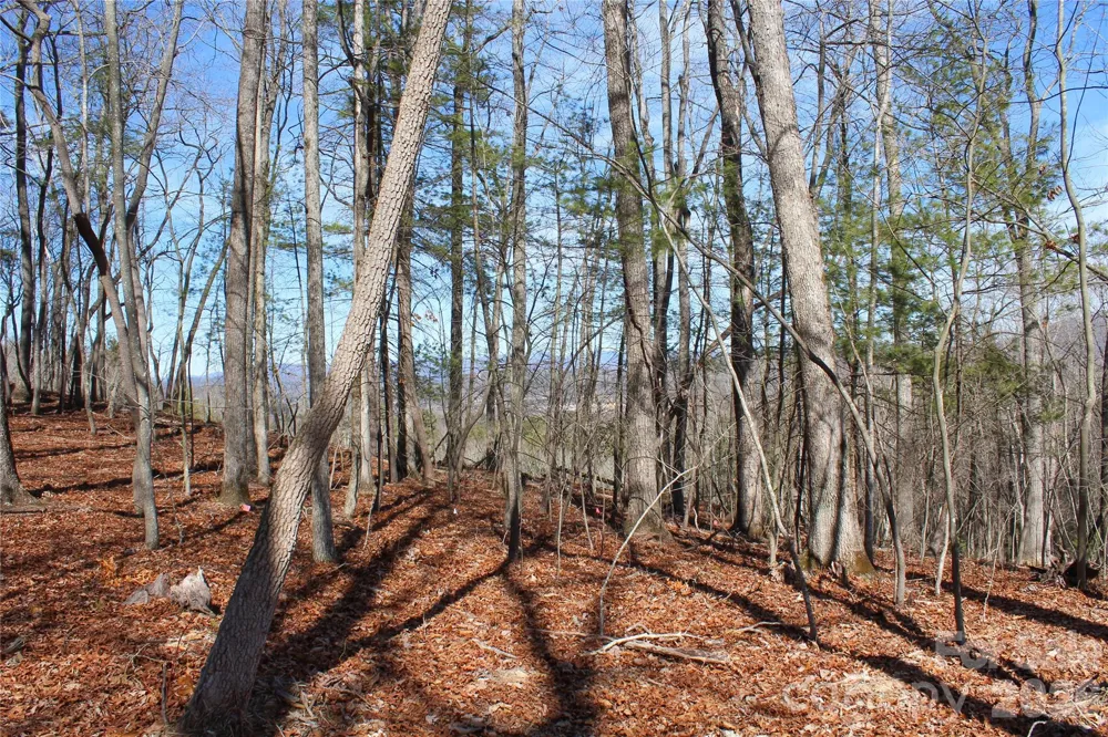 000 Northview Drive #12 Hendersonville, NC 28791