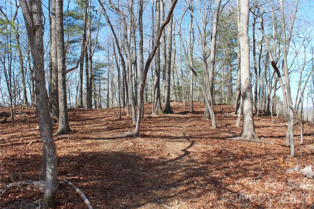 000 Northview Drive #12 Hendersonville, NC 28791
