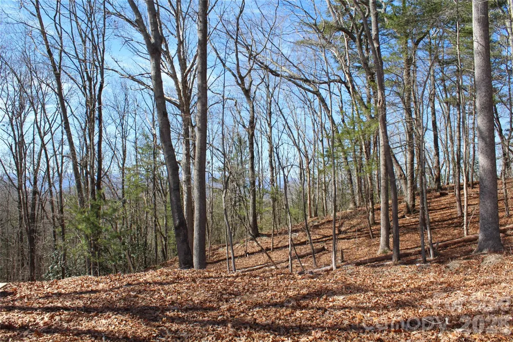 000 Northview Drive #13 Hendersonville, NC 28791