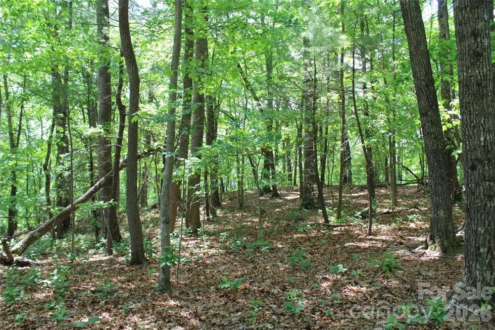 000 Northview Drive #13 Hendersonville, NC 28791