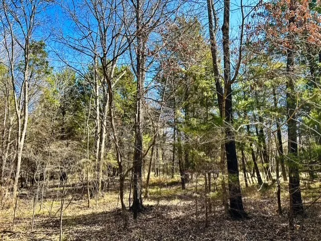 Rs County Road 3500 Emory, TX 75440