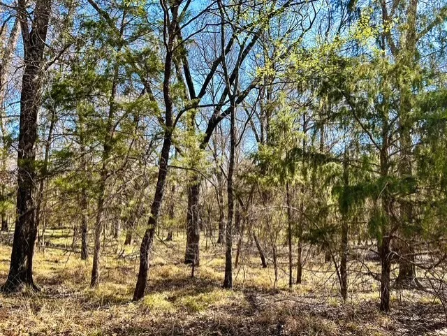 Rs County Road 3500 Emory, TX 75440