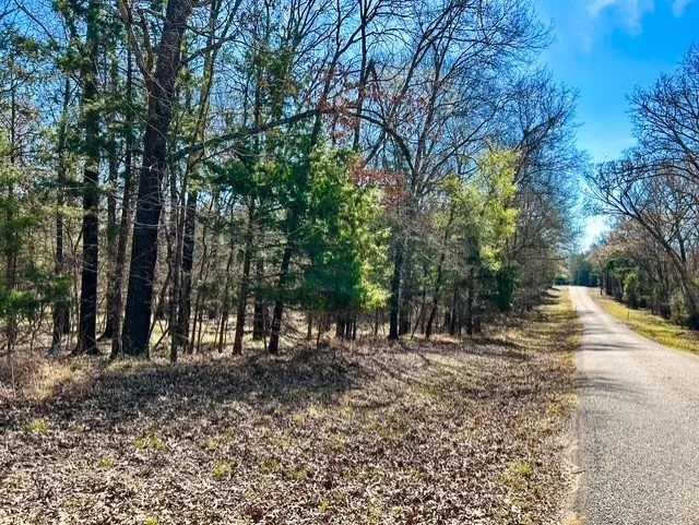 Rs County Road 3500 Emory, TX 75440