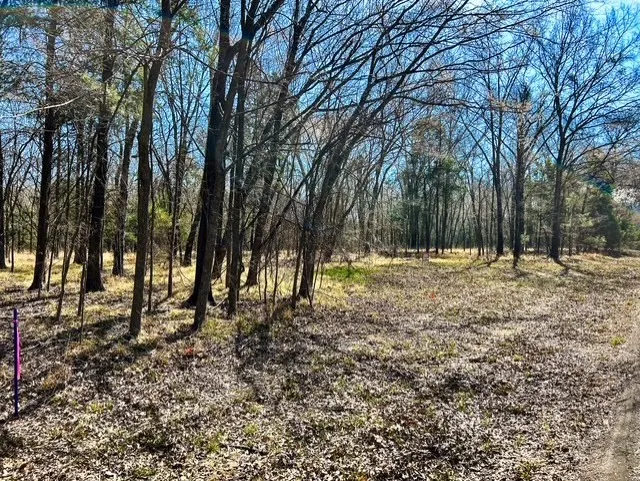 Rs County Road 3500 Emory, TX 75440