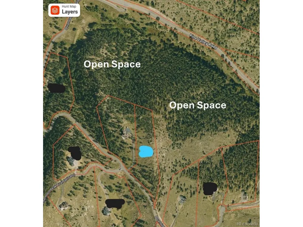 15100 Quandary Peak Trail Pine, CO 80470