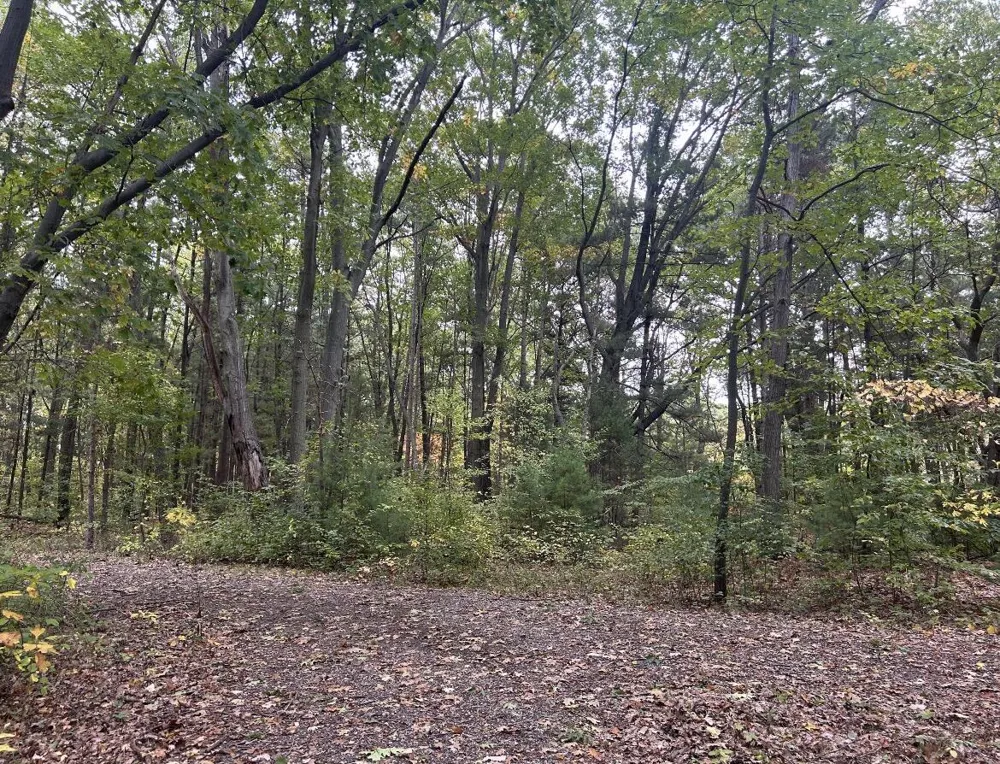 4051 Highview Path Coloma, MI 49038