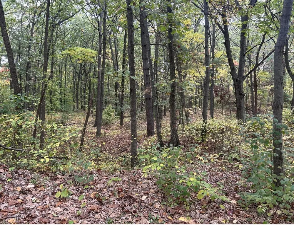4051 Highview Path Coloma, MI 49038