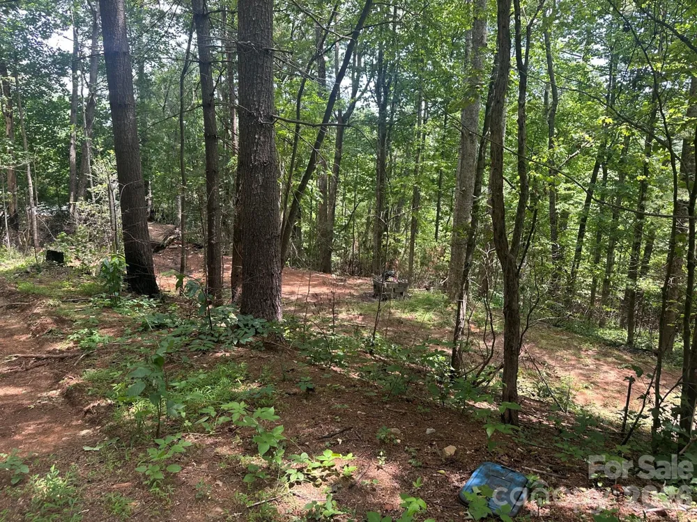 210/240 Gobbler Circle #19/21 Horse Shoe, NC 28742