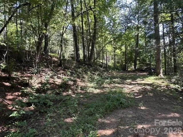 210/240 Gobbler Circle #19/21 Horse Shoe, NC 28742