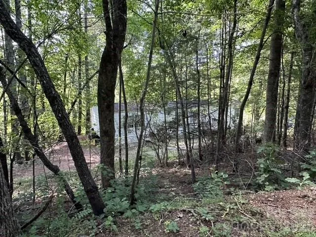 210/240 Gobbler Circle #19/21 Horse Shoe, NC 28742
