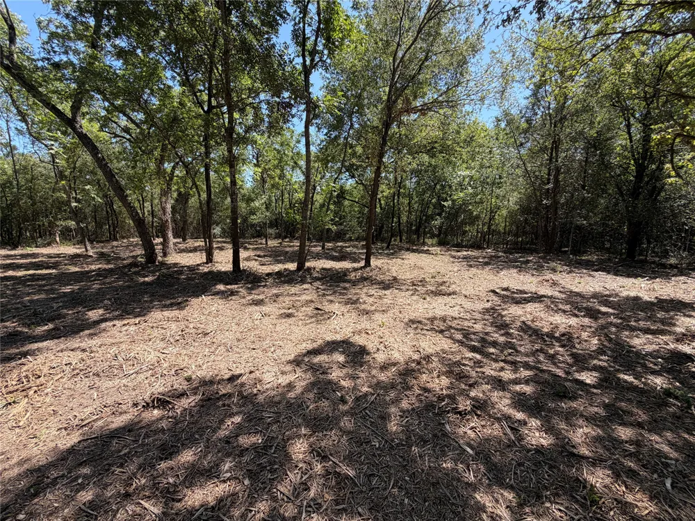 SW Co Rd 2340 Richland, TX 76681