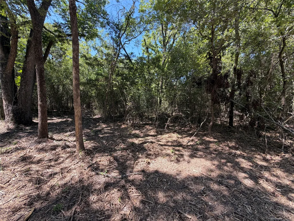SW Co Rd 2340 Richland, TX 76681
