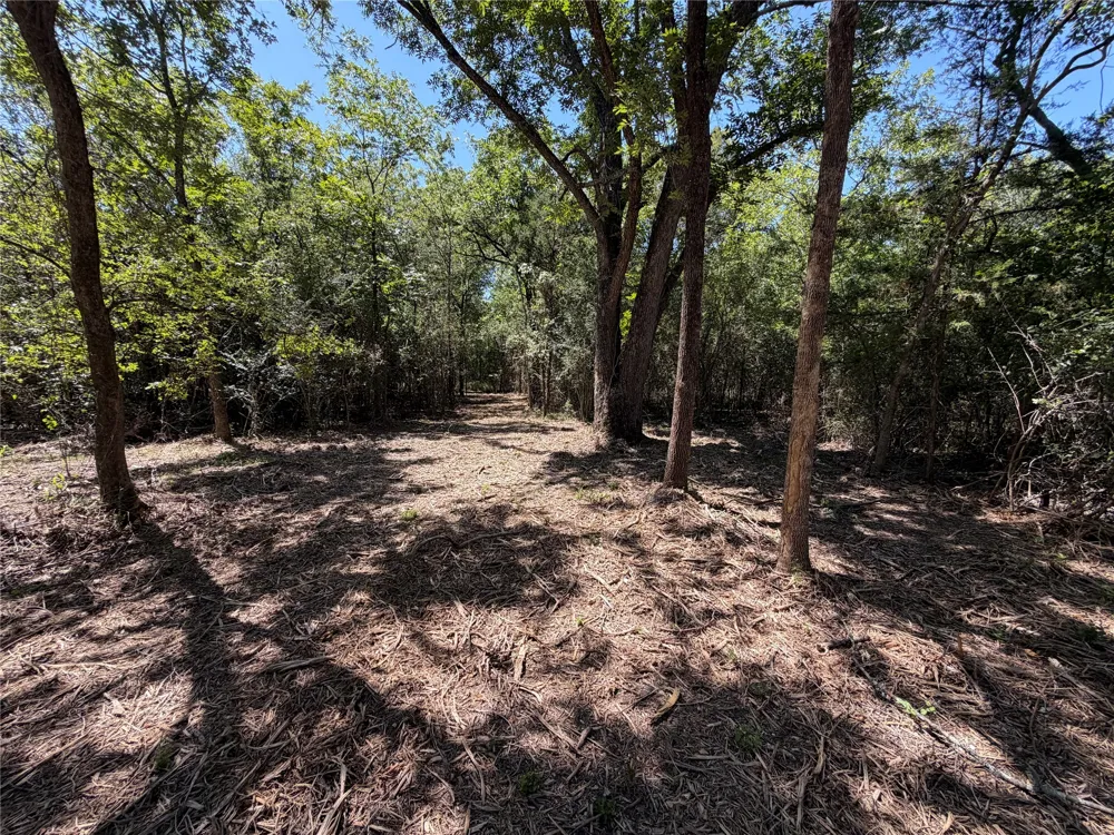 SW Co Rd 2340 Richland, TX 76681