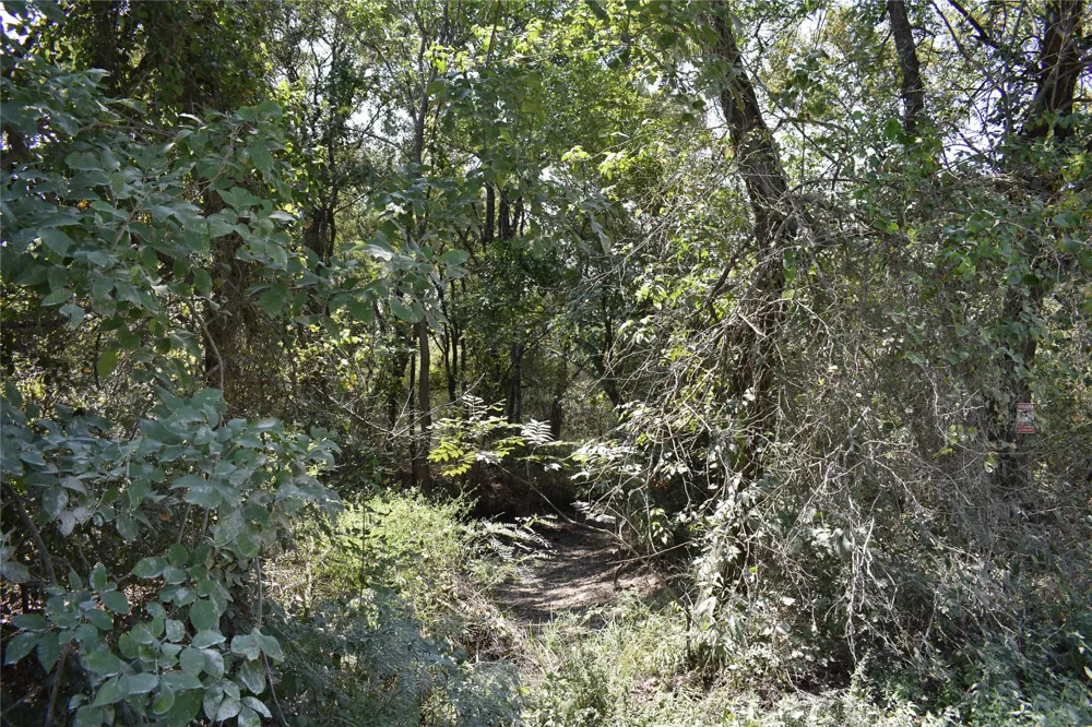SW Co Rd 2340 Richland, TX 76681