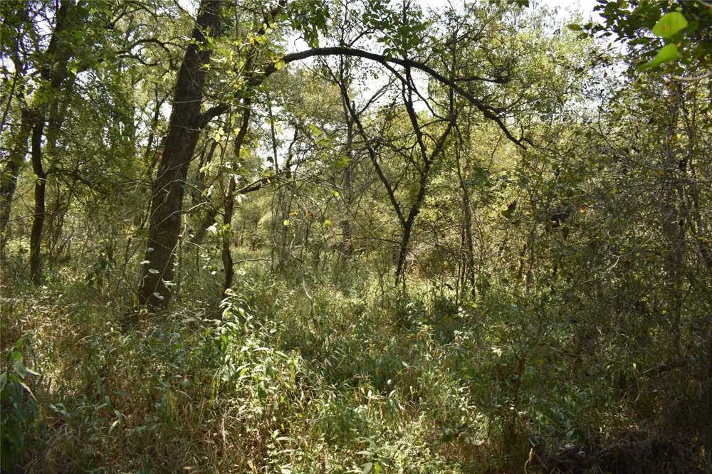 SW Co Rd 2340 Richland, TX 76681