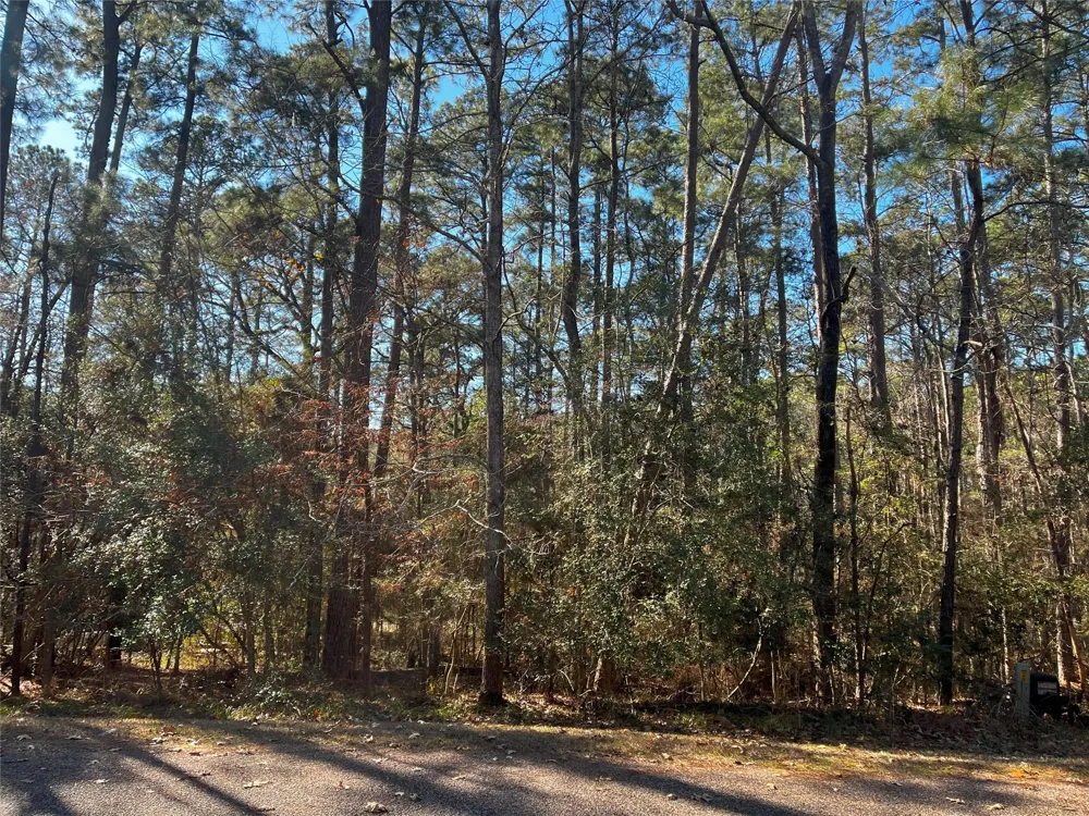 61 Sunny Hill Drive Coldspring, TX 77331