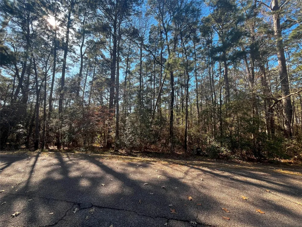 61 Sunny Hill Drive Coldspring, TX 77331