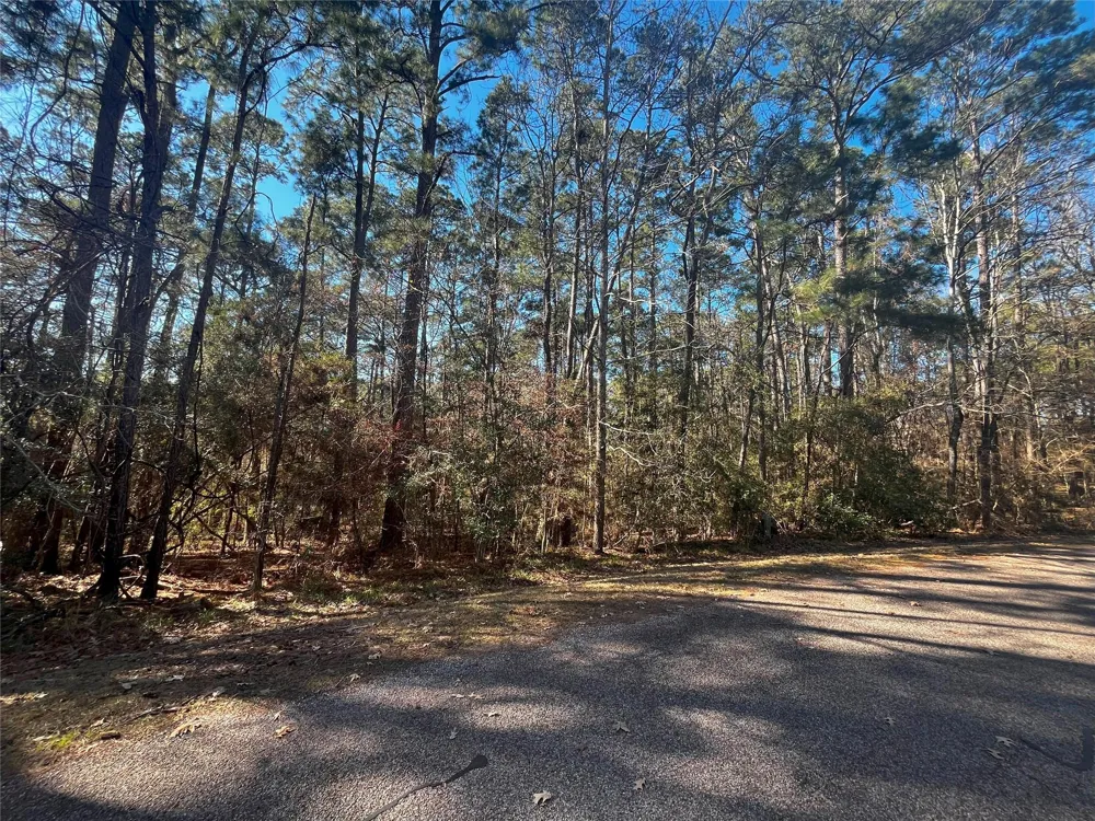 61 Sunny Hill Drive Coldspring, TX 77331