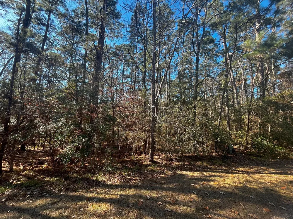 61 Sunny Hill Drive Coldspring, TX 77331