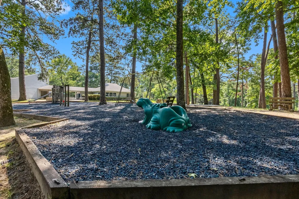 61 Sunny Hill Drive Coldspring, TX 77331
