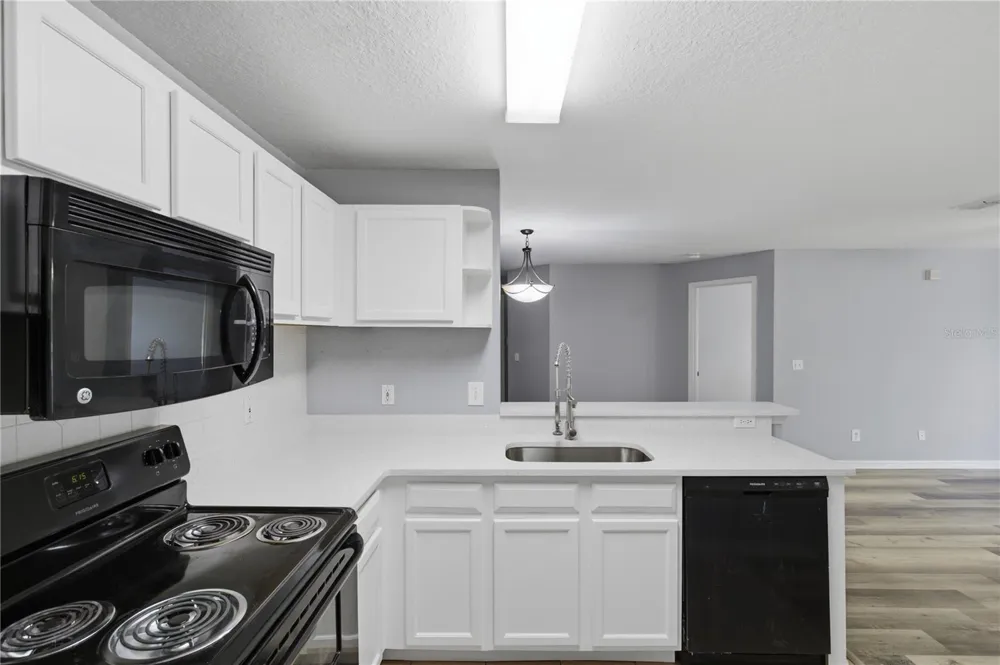 7605 PISSARRO DRIVE #13204 Orlando, FL 32819