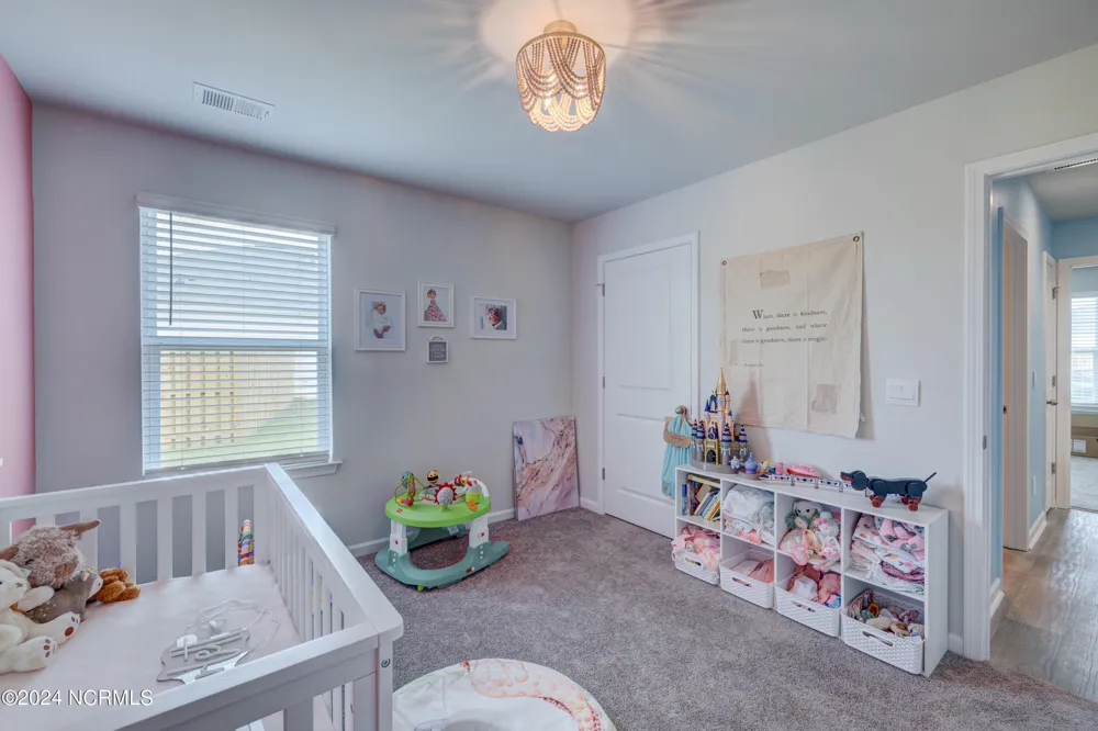 6205 Centipede Place Castle Hayne, NC 28429