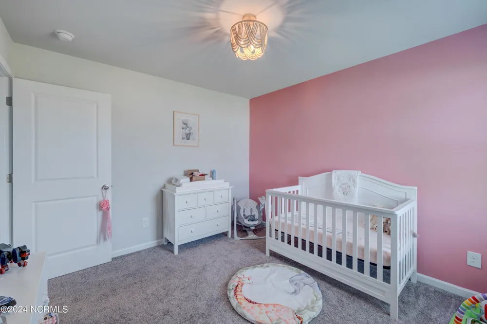 6205 Centipede Place Castle Hayne, NC 28429