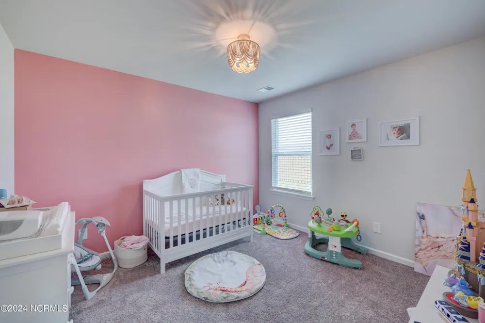 6205 Centipede Place Castle Hayne, NC 28429