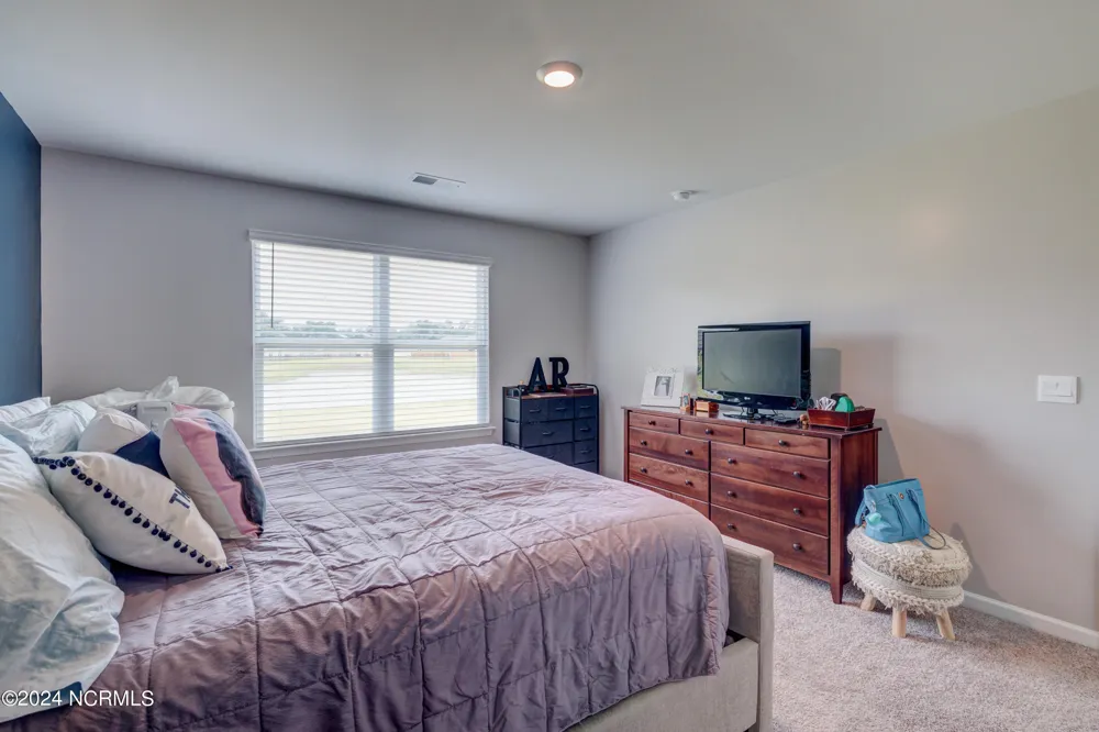 6205 Centipede Place Castle Hayne, NC 28429
