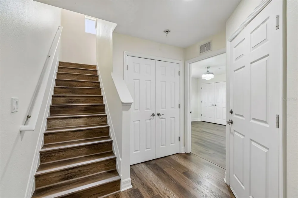 4516 BAY SPRING COURT Tampa, FL 33611