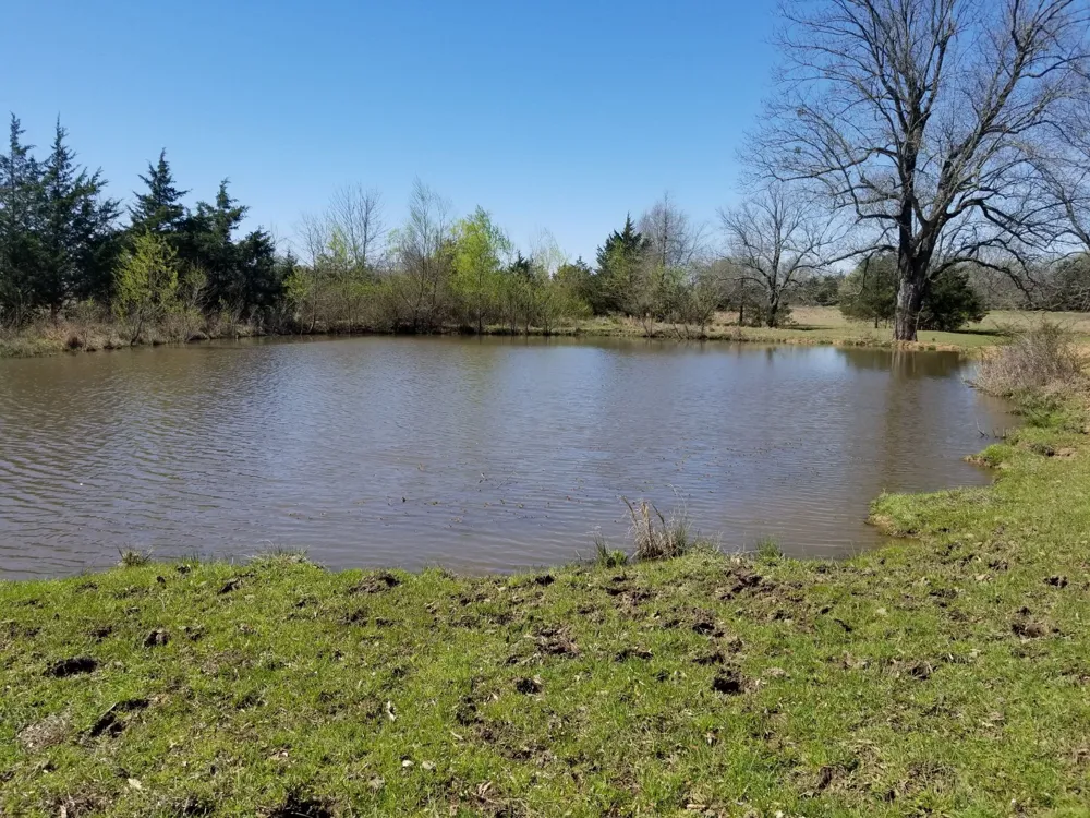 0000 Farm Road 1502 Detroit, TX 75436