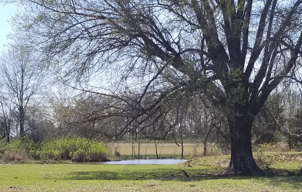 0000 Farm Road 1502 Detroit, TX 75436
