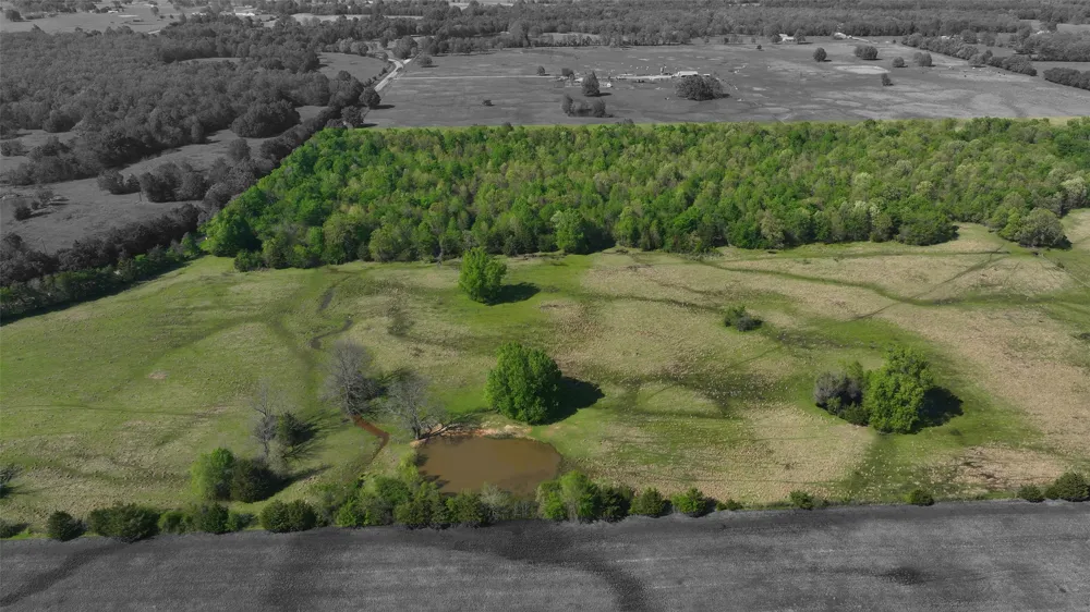 0000 Farm Road 1502 Detroit, TX 75436